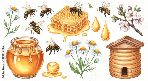 Watercolor illustration of bees honey honeycomb flowers and beehive