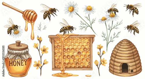 Watercolor illustration of bees honey honeycomb and flowers on white