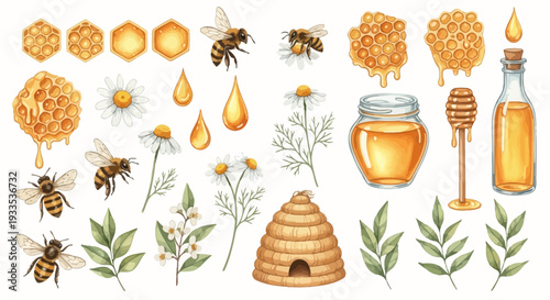 Watercolor illustration of bees honeycomb chamomile flowers and honey