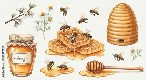 Watercolor illustration of bees honeycomb honey jar and beehive elements