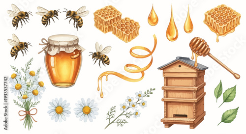 Watercolor illustration of bees honeycomb honey jar and beehive elements