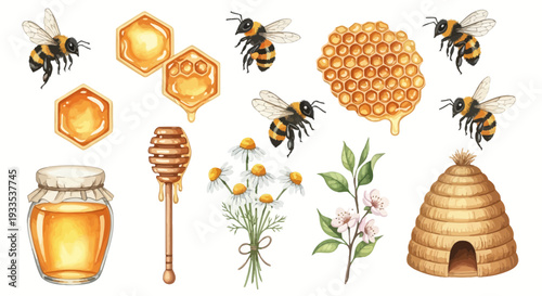 Watercolor illustration of bees honeycomb honey and floral elements