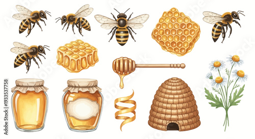 Watercolor illustration of bees honeycomb honey and floral elements