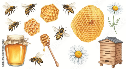 Watercolor illustration of bees honeycomb honey and flowers for design