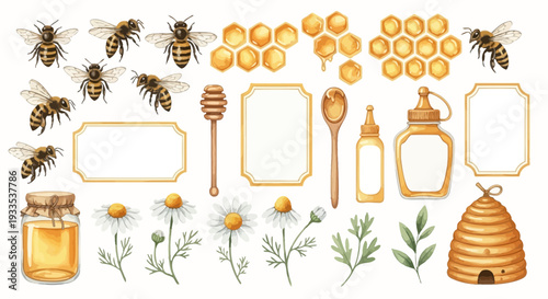 Watercolor illustration of bees honeycomb honey and flowers for design elements