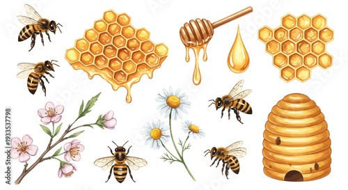 Watercolor illustration of bees honeycomb honey and flowers for design elements