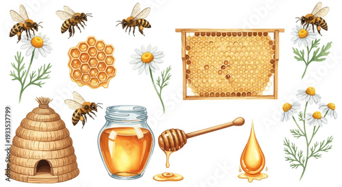 Watercolor illustration of bees honeycomb honey and flowers on white