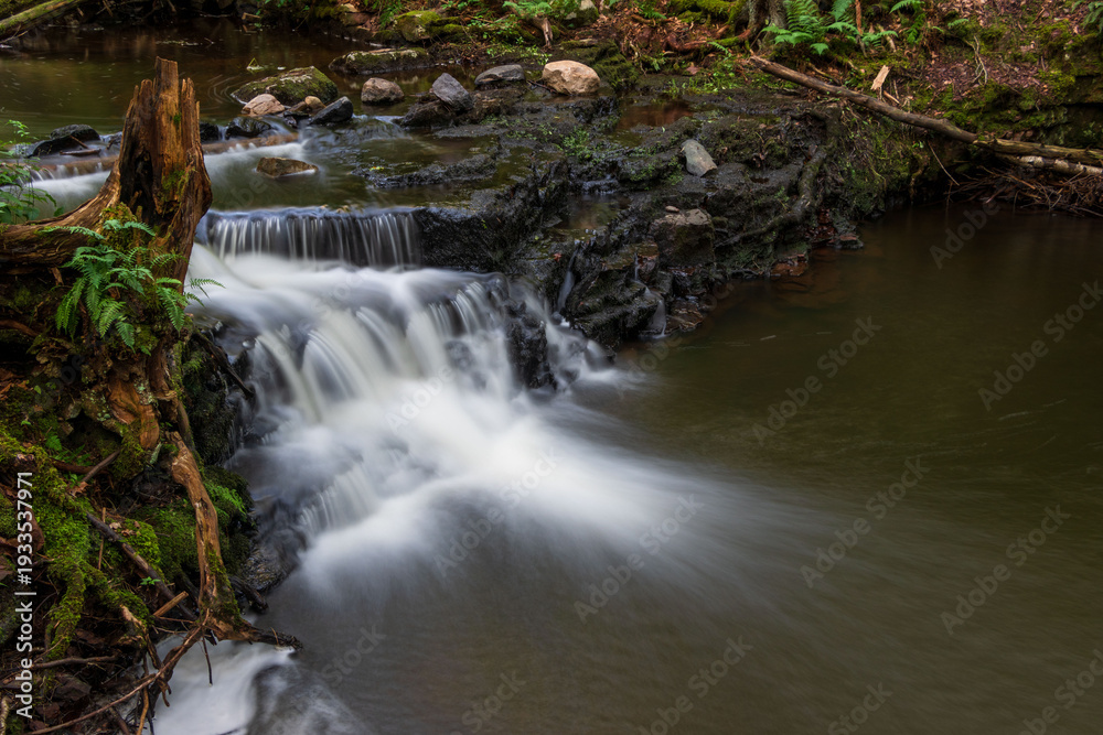 Obraz premium low cascade waterfall on a creek with a tall natural stump motion
