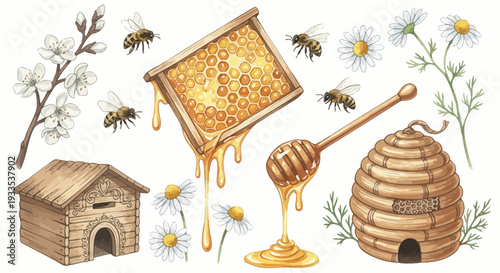 Watercolor illustration of bees honeycomb honey dipper flowers isolated