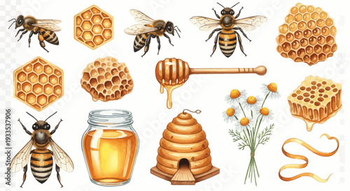 Watercolor illustration of bees honeycomb honey dipper jar and flowers