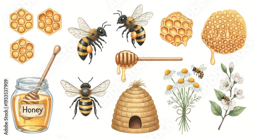 Watercolor illustration of bees honeycomb honey dipper honey jar and flowers