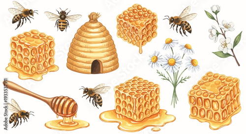 Watercolor illustration of bees honeycomb honey dipper flowers on white