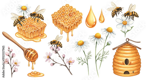 Watercolor illustration of bees honeycomb honey drops flowers isolated elements