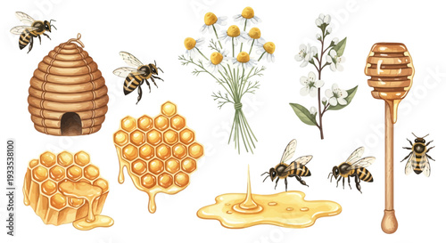 Watercolor illustration of bees honeycomb honey flowers and honey dipper