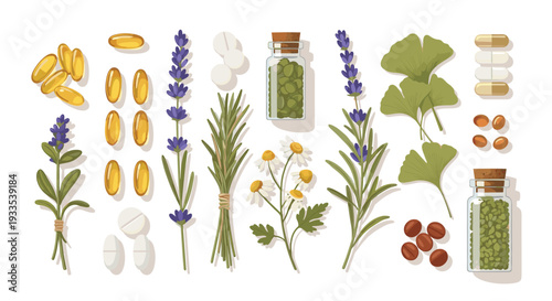 A diverse collection of herbal remedies and supplements, including bundles of lavender, rosemary, chamomile, ginkgo leaves, pills, and capsules, are arranged on a white surface.