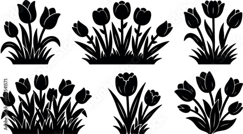 Flat design tulip silhouette cluster set with six compositions close up spring garden grass arrangement vector art black and white