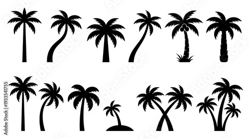 Palm Tree Silhouettes Collection