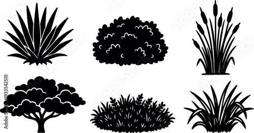 Silhouette vector flat design close up six ornamental plants grasses and bushes arranged on white background clean minimalist composition
