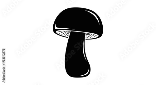 Black Mushroom Fungi Illustration.