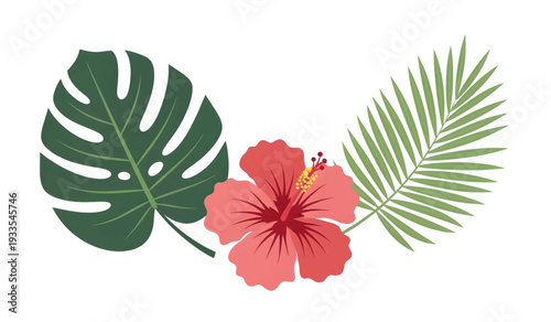 Hibiscus Flower with Monstera and Palm Leaves.