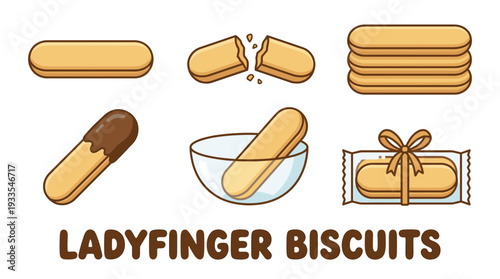 Ladyfinger biscuits vector set. Savoiardi sponge cookies collection, broken, chocolate dipped, in glass bowl and packaged with ribbon for bakery menu design.