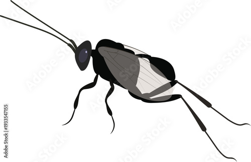 Highly detailed vector illustration of parasitic wasps designed for scientific, educational, and biological control concepts.