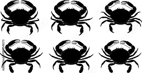 Ocean Crab or Sea Creature Black Silhouette Vector Set, Marine Life Crustacean Animal Icons, Shellfish Beach and Seaside Nature Elements, Food Menu Design and Aquatic Wildlife Illustration.