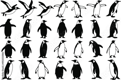 Penguin silhouette collection vector illustration, black and white penguin poses and movements, wildlife animal design elements for nature, arctic, and winter themed artwork