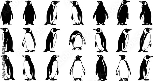 Penguin silhouette icon set, Antarctic bird collection in various poses, flat black vector illustration for wildlife design, nature branding, education graphics