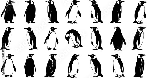 Penguin silhouettes collection, black and white vector illustration set showing different standing poses, wildlife animals, polar nature, minimalist design style