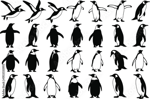 Penguin silhouettes collection, black and white vector illustration set showing different standing poses, wildlife animals, polar nature, minimalist design style