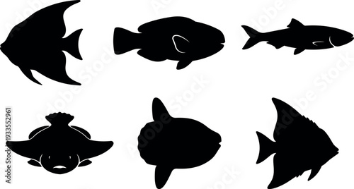 Flat design fish silhouettes six tropical and freshwater species top view side view minimal black vector isolated collection set icons