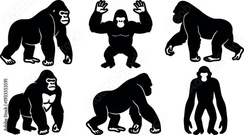 Flat design vector art gorilla set six black silhouettes poses walking standing beating chest side frontal views minimal bold isolated