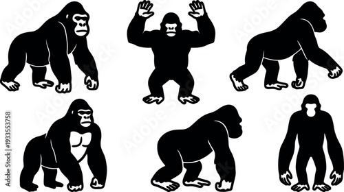 Silhouette vector six gorilla poses black flat design strong primate figures showing different angles and stances close up front view