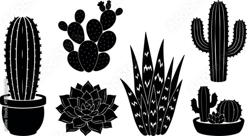 Flat vector silhouette close up potted cacti and succulents arranged in row minimal black and white botanical icons decorative collection