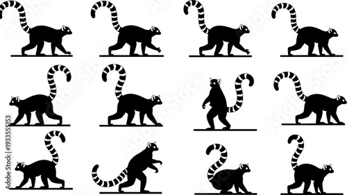 Ring tailed lemur silhouette vector set, Madagascar wildlife animal poses in motion, black primate illustrations isolated on white background