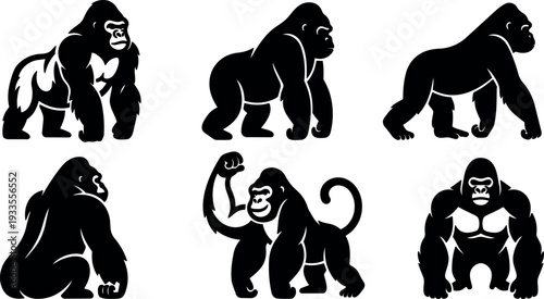 Flat vector gorilla silhouettes showing six strong ape poses side view and three quarter angles muscular stance bold black shapes