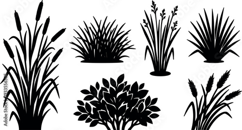 Silhouette vector flat minimalist marsh plants and reeds close up set of cattail grass bush isolated on white background composition