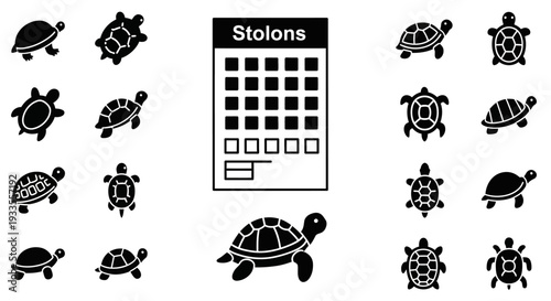 Collection of turtle icons in various poses and designs surrounding a grid template labeled Stolons on a clean background