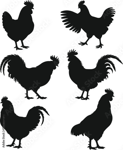 Rooster and chicken silhouette vector illustration set, farm animal collection, poultry bird design, countryside agriculture concept, black rural livestock graphic art