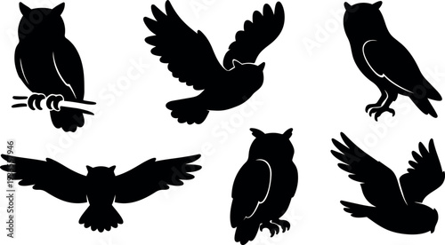 Flat design owl silhouette set six poses side view flying perched close up vector animal icons simple black minimal collection