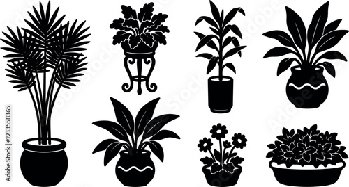 Flat vector silhouette potted plants collection multiple species different pots overhead and low angle isolated black shapes indoor decor ornamental