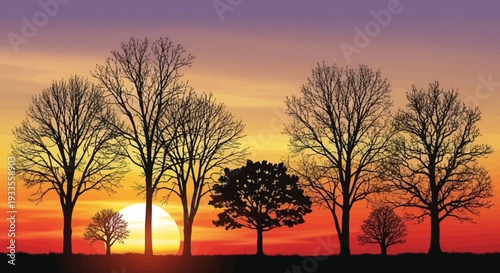 Silhouettes of bare trees against a vibrant sunset sky with warm orange, red, and purple hues.