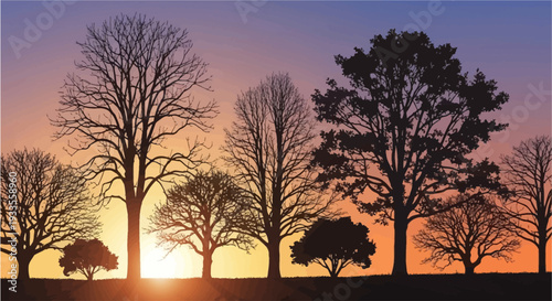 Silhouettes of various bare trees against a vibrant sunset sky with the sun glowing near the horizon.