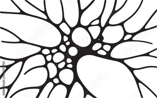 Inspiring study motivation wall panel design featuring clean typography and modern layout style