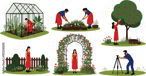 Flat vector illustration of people gardening, harvesting apples and photographing flowers in backyard garden with greenhouse and floral arch isolated on light background