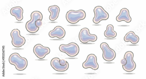 Ensemble de formes abstraites organiques et fluides avec des reflets lumineux sur fond blanc.