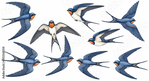 白い背景に様々に飛行するツバメの美しいベクターイラストコレクション。青い羽と特徴的な尾を持つ鳥が空を舞う躍動的な姿を描写。