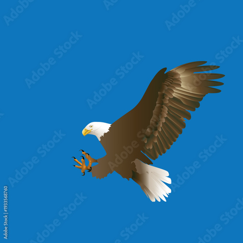 A majestic American bald eagle with expansive wings soars through the clear blue sky, capturing the essence of wild freedom and nature as this powerful raptor flies in graceful flight