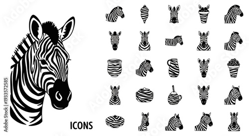 Collection of various zebra illustrations and icons in different views and poses, showcasing wildlife graphics.